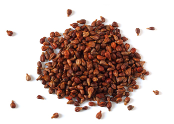 graph-seeds